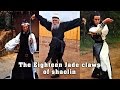 Wu Tang Collection 18 Jade Claws Of Shaolin