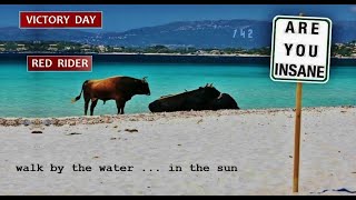 victory day, tom cochrane / red rider