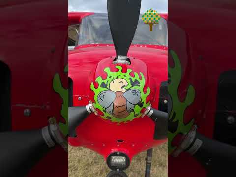 Más de 300 aeronaves en acción: la Convención en Vuelo volvió a llenar el cielo de General Rodríguez