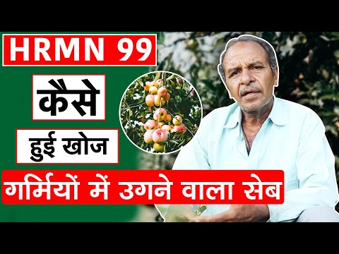 How was HRMN 99 discovered? Information from Hariman Sharma. How Hariman 99 Apple was discovered?