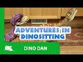 Dino Dan Trek S Adventures Adventures In Dinositting Episode Promo