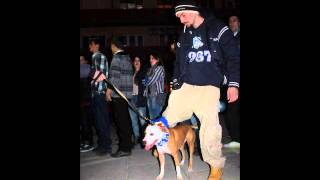 Elinel - Made In Qijna