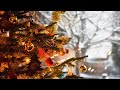 Lelystad-Haven heeft kerstboom met wensen voor dierbaren