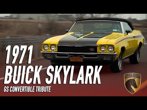 1971 Buick Skylark (CC-1336931) for sale in Bridgeport, Connecticut