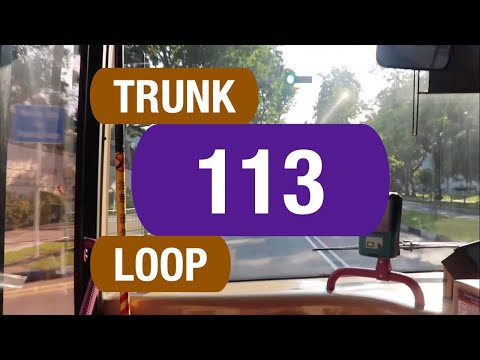 113 Bus Schedule Live