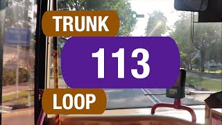 SBS Transit Trunk 113 | Bus Service Route Visual