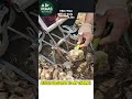 Tiny Tool With Excellent Work Efficiency Garden Agriculture Shorts