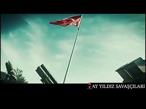 Bordo mavi bereliler