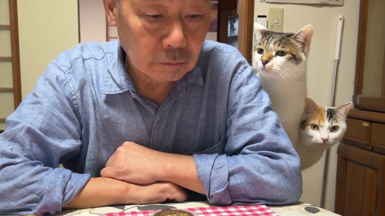 住職から猫が生えてるぞ⁉️