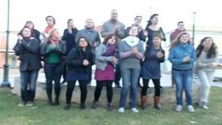 Lip dub EVS volunteers from Solidarity Tracks