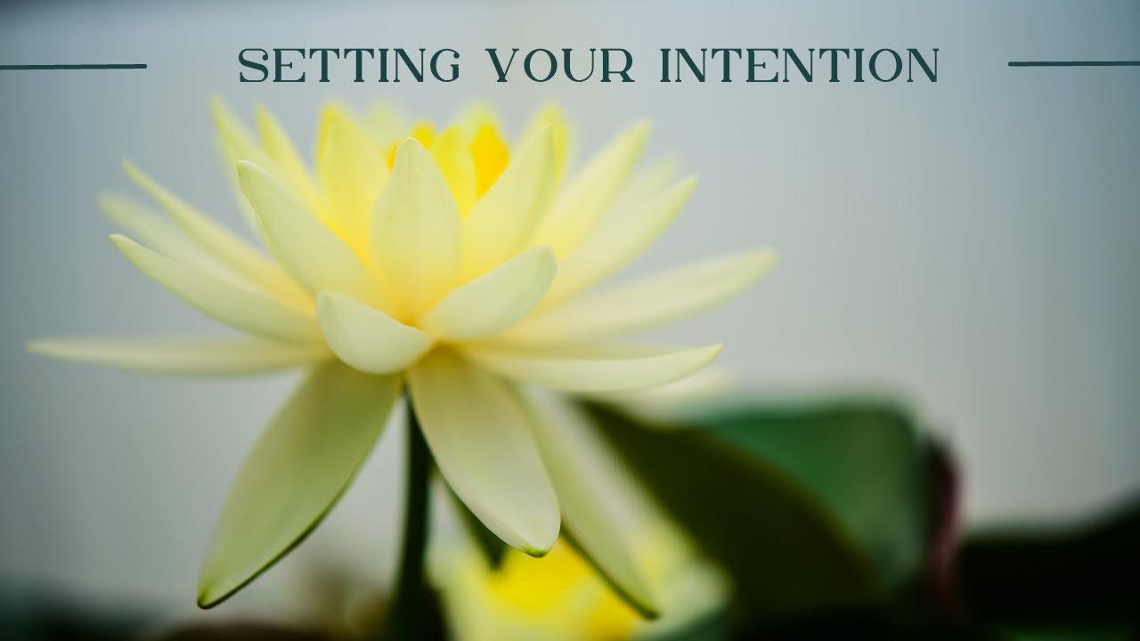 Transform Your Day with this Simple Intention-Setting Meditation