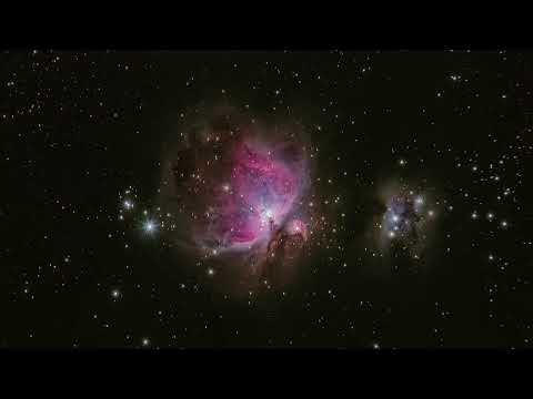 Digitalis Stellaris - Paragon Soul