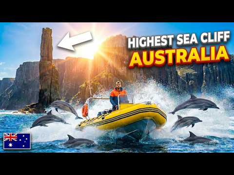 Tasman Island Cruise: Exploring Australia's Highest Sea Cliffs & Wild Dolphins