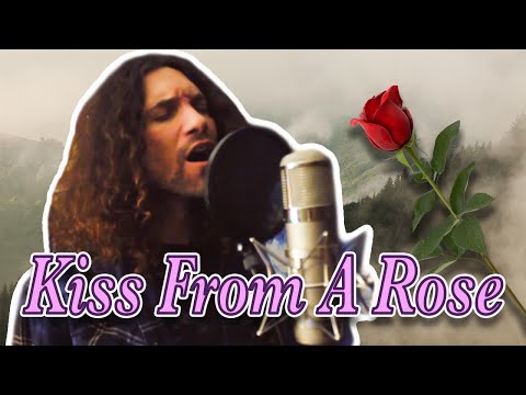 Kiss From A Rose - Dan Avidan & Super Guitar Bros.