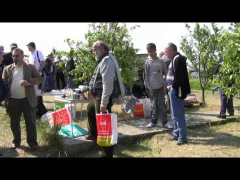 SIMPO DAIA GIURGIU 14 MAI 2011-YO3 IIT