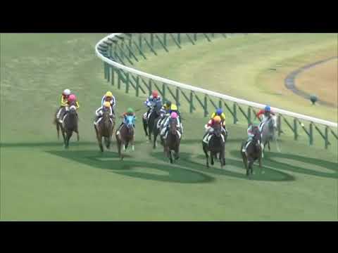 2020.11.29 2yo Newcomer (JPN) - A Big Cheer