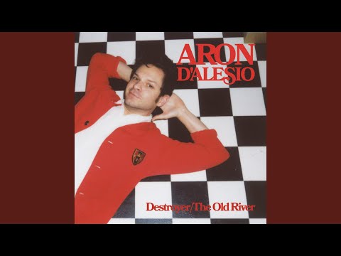 Destroyer - Aron D'Alesio