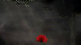 Tras la máscara Jp y Porta letra