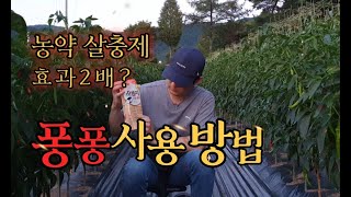 퐁퐁 전착제 만들기 천연살충제 농약 희석 사용방법 퐁퐁 사용시 주의사항