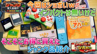 【ジャンク】今回はショボいwインパクトは無いけどそこそこお得に買えたジャンク品【購入品紹介】