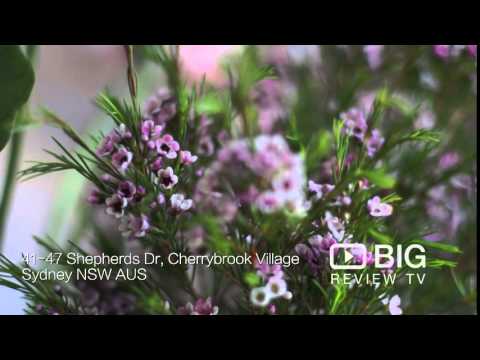 download lagu mp3 mp4 Flower Delivery Cherrybrook, download lagu Flower Delivery Cherrybrook gratis, unduh video klip Flower Delivery Cherrybrook