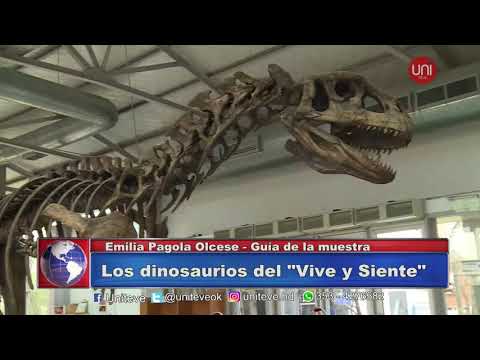 Los dinosaurios del Vive y Siente