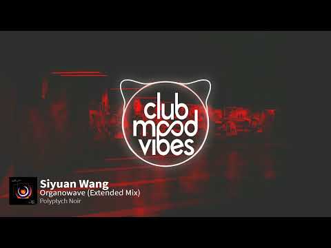 PREMIERE: Siyuan Wang ─ Organowave (Extended Mix) [Polyptych Noir]