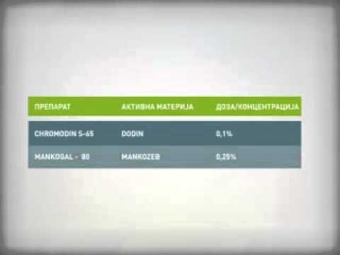 Zelena prognoza, 24.6.2015. - O merama u zasadima višanja i trešanja