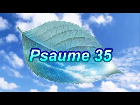 Psaume 35