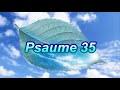 Psaume 35