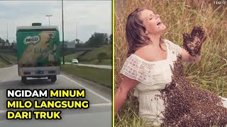 Download lagu Bikin Heran, Ibu Hamil Ngidam yang Aneh-aneh mp3 Download lagu Bikin Heran, Ibu Hamil Ngidam yang Aneh-aneh mp3