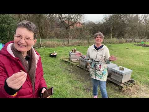 Live von Pias Bienenstand - 22.02.2023 - Besuch aus Norwegen 🇳🇴