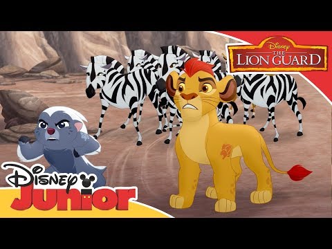 The Lion Guard | Kion Protects the Zebras | Official Disney Channel Africa