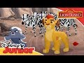 The Lion Guard | Kion Protects the Zebras | Official Disney Channel Africa