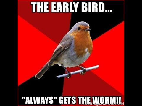 Pre market alerts. $SPY $IWM $SPX $QQQ $SQQQ  Airlines & Chips CPI #