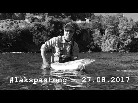 #lakspåstong @ Bolstadelva - 27.06.2017