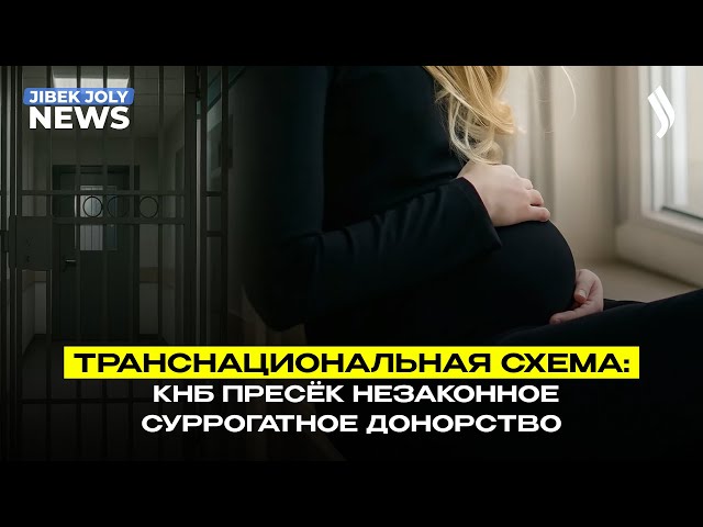 Транснациональная схема: КНБ пресёк незаконное суррогатное донорство