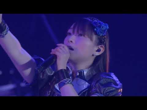 9th live - aoi tori(animation arrange ver. )