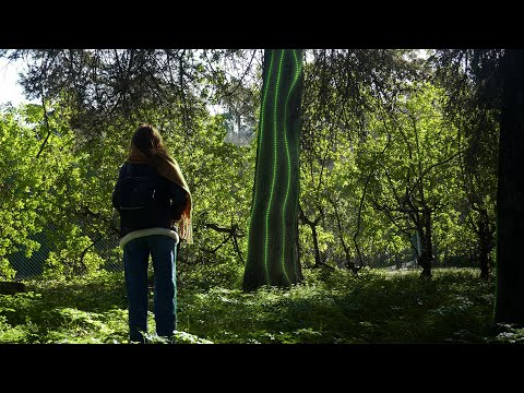 Sigilo Sonoro | Demonstração