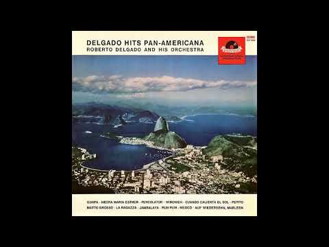 Roberto Delgado - Delgado Hits Pan-Americana