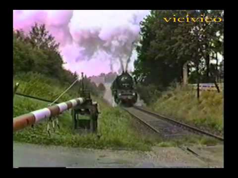 DDR Reichsbahn 1987.Eine Schwere Leistung mit Volldampf fur Lok 50 3576-1