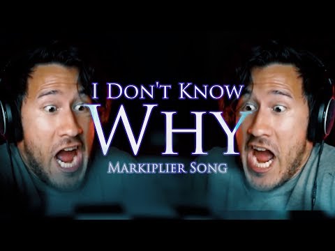 "I DON'T KNOW WHY" (Markiplier Remix) | Song by Endigo