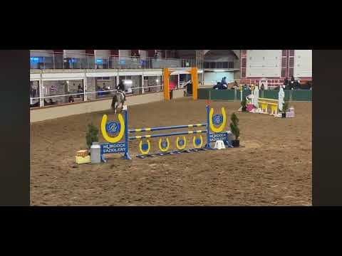 Falco De Vesquiere Cavan Show