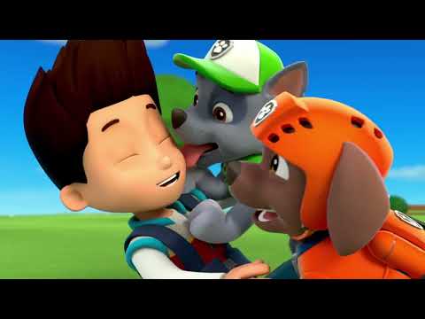 The pups are happy that Ryder is back - Paw patrol