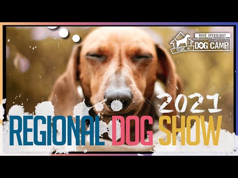 Regional Dog Show 2021 by RSDC (4K) | Oblastna Vystava Polovnych Plemien 2021