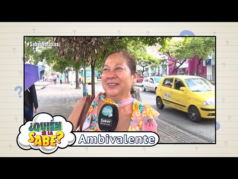 ¿Qué es ambivalente?