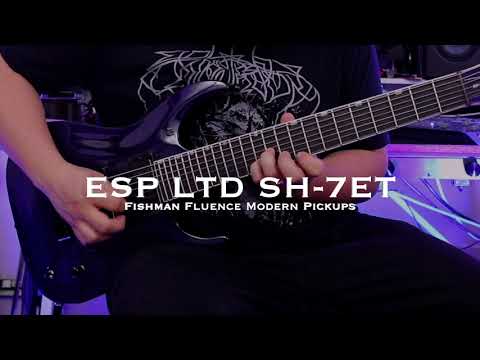 ESP LTD SH-7 EverTune Brian Welch w/ Case – See Thru Purple (Polish Scratches) image 4