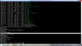 DNS Config Part 2 - Preventing /etc/resolv.conf from changing automatically - Redhat Linux 6