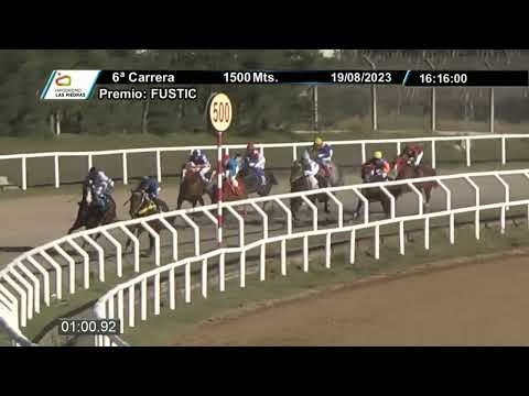 230819 c06 - 1° GUERRERO DELALUZ - HIPÓDROMO LAS PIEDRAS