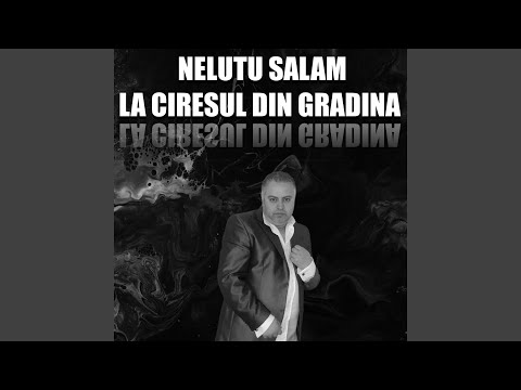 Am pierdut in viata mea